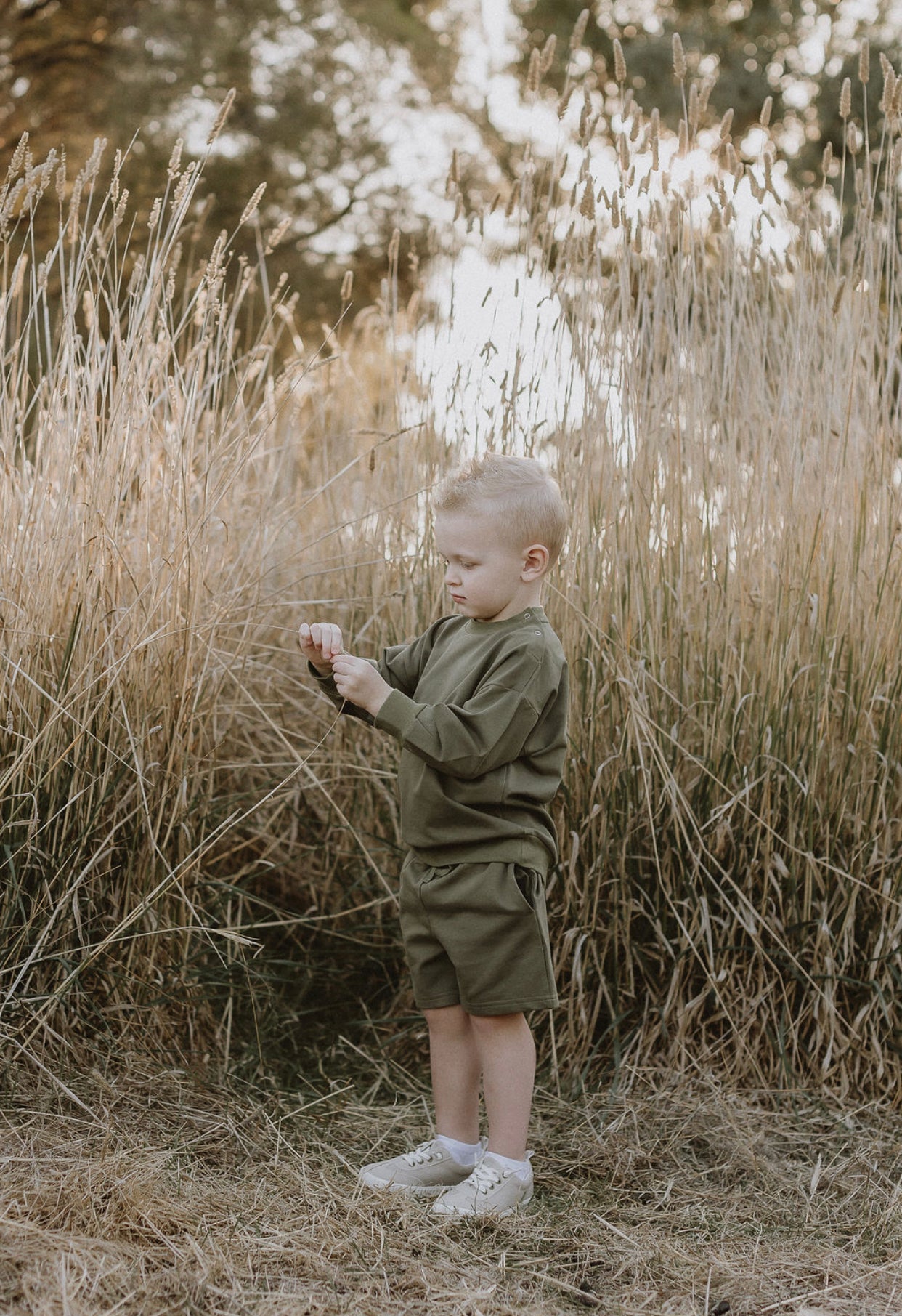 Shorts - Eucalyptus